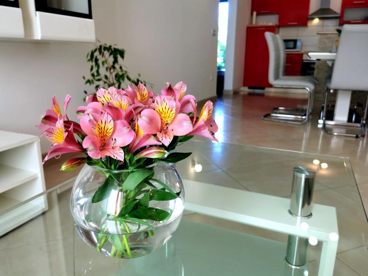 Apartament Parun Pula Zewnętrze zdjęcie